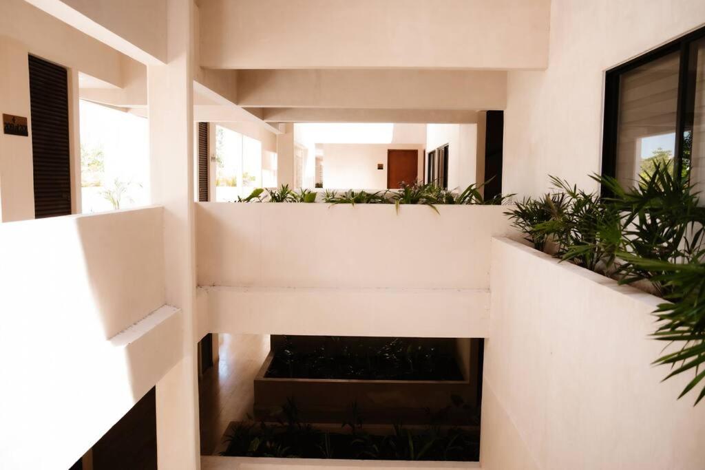 2 bedroom apt w/amazing rooftop & jungle views photo 1