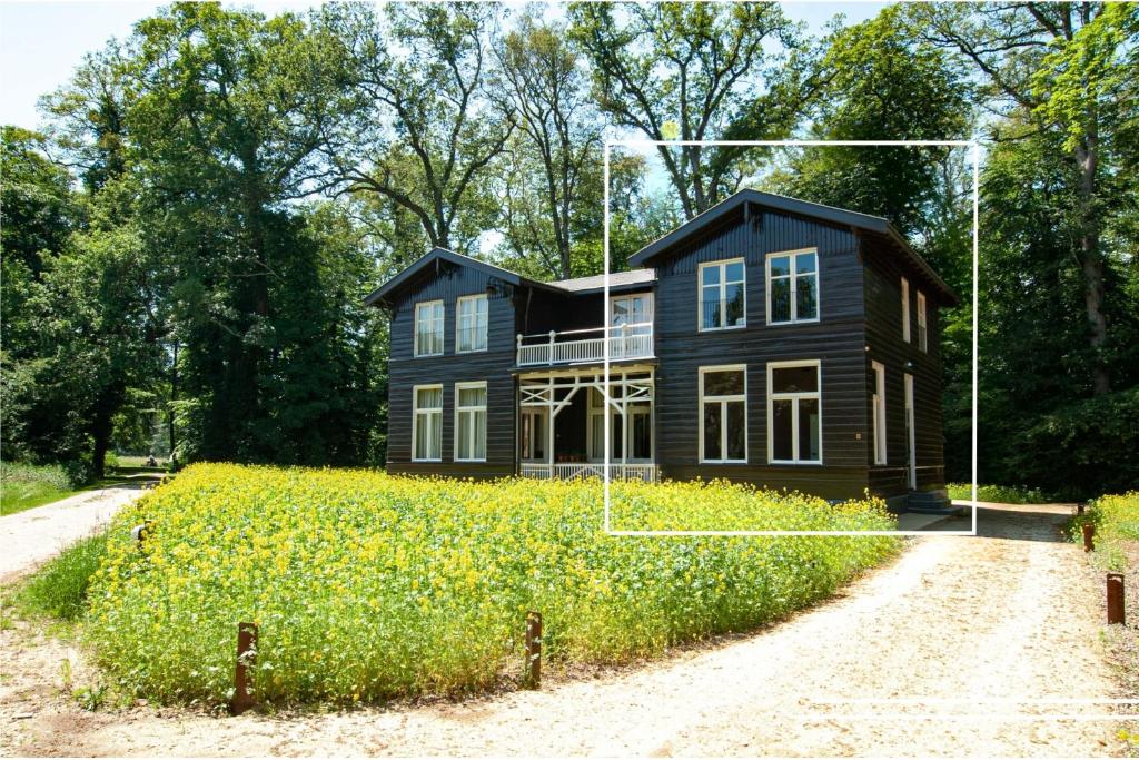 In het huis van Bello photo 1