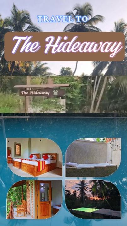 The Hideaway photo 3