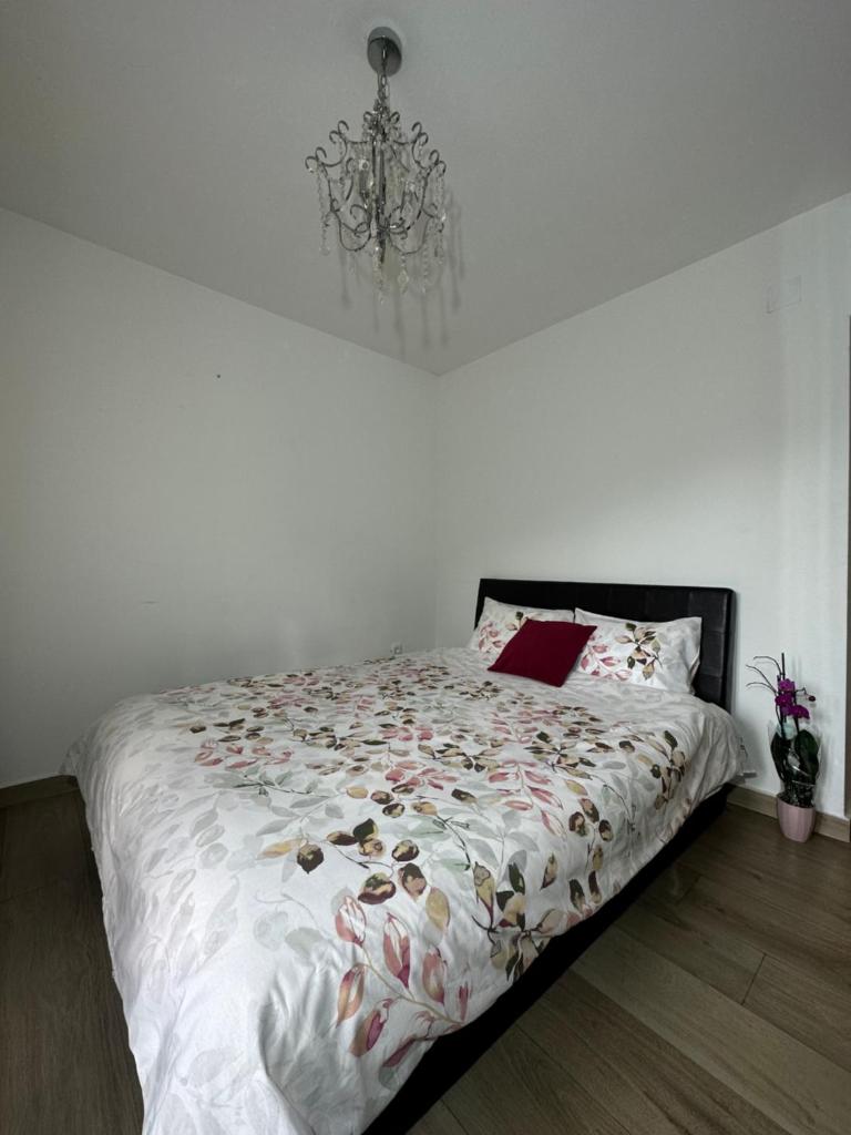 Apartmani Simona photo 1