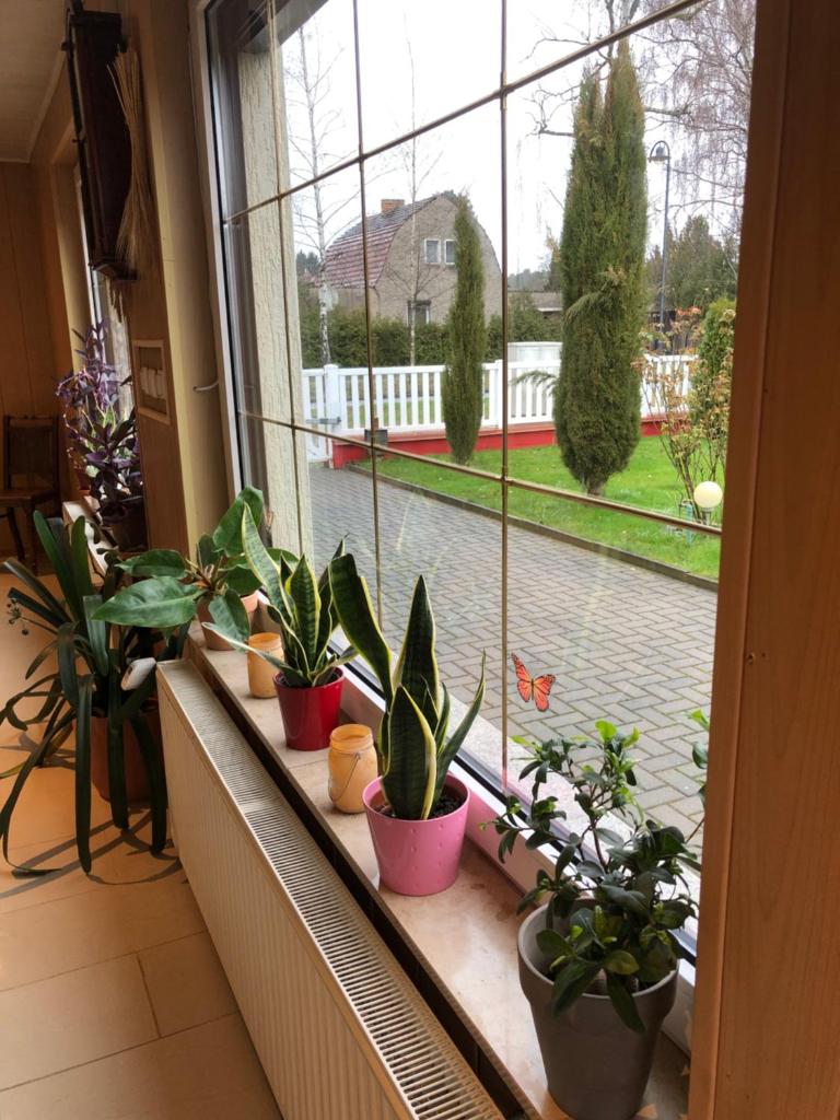 Wohnung in Wald- und Seenähe photo 1
