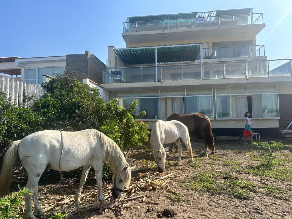 YOLO House Beach photo 2