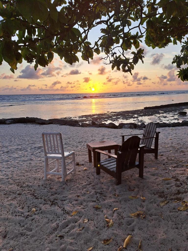 Tifaifai Et Café Huahine photo 3