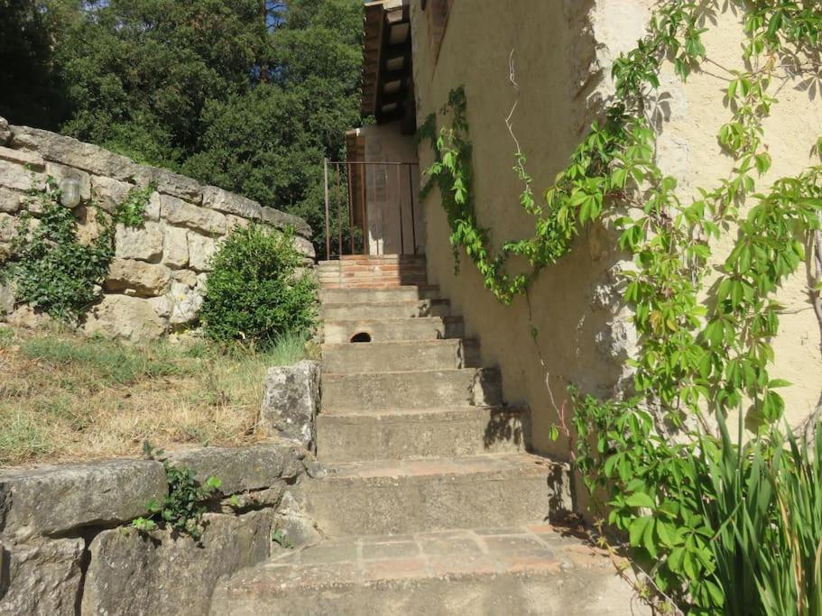 CASA RUSTICA RODEADA DE JARDINES Y BOSQUES photo 3