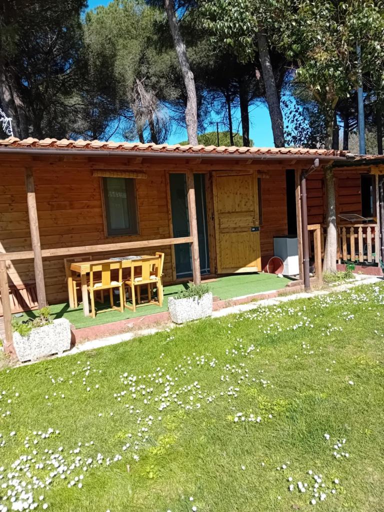 CAMPEGGIO PARCO DEI PINI photo 1