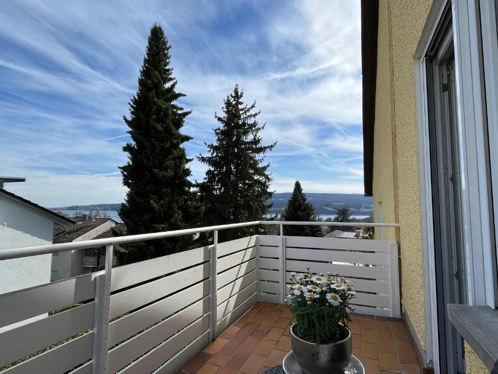 Höri Nest - Seeblick Appartement photo 1