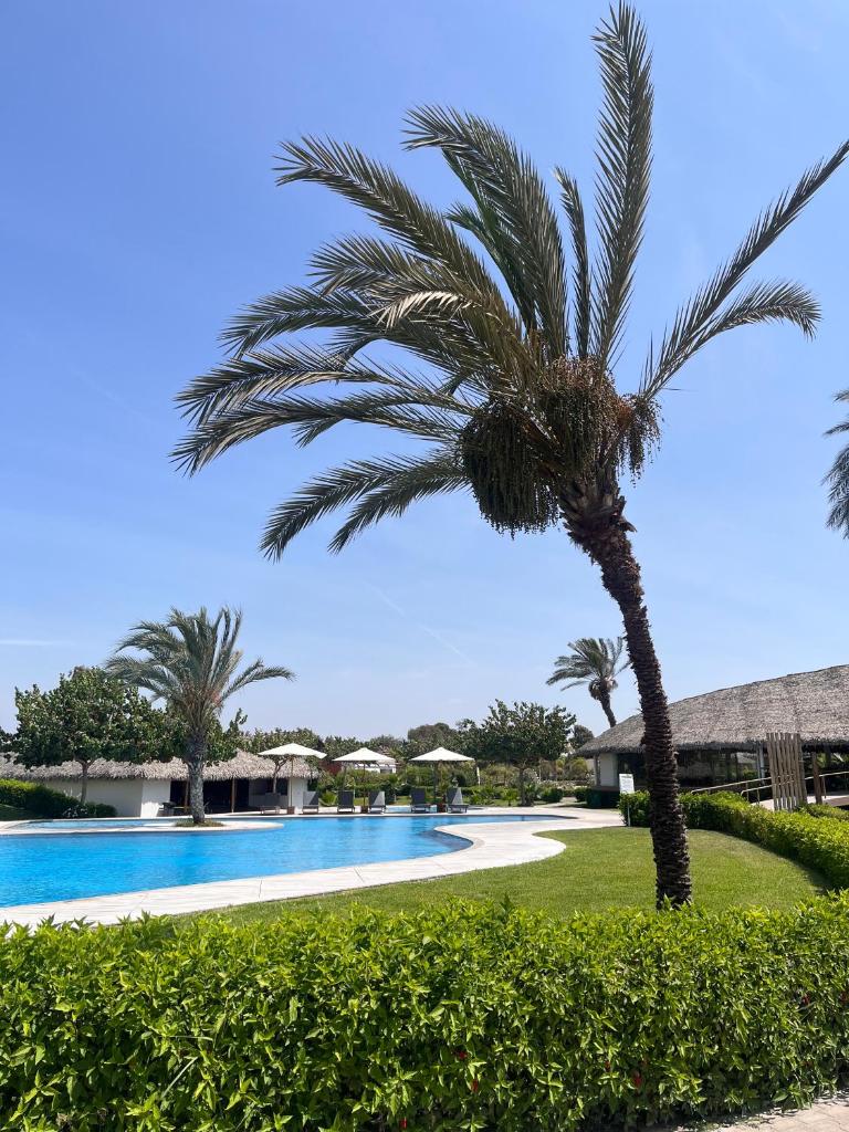Casa Mandala Beach - Chincha - Piscina Privada photo 3