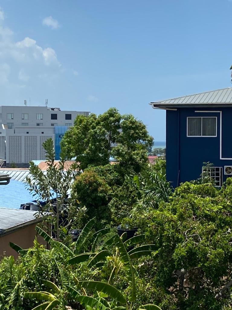 1 Bedroom Apartment, in Coconut Drive San Fernando photo 2