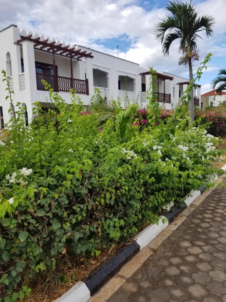 Almasi beach house photo 2
