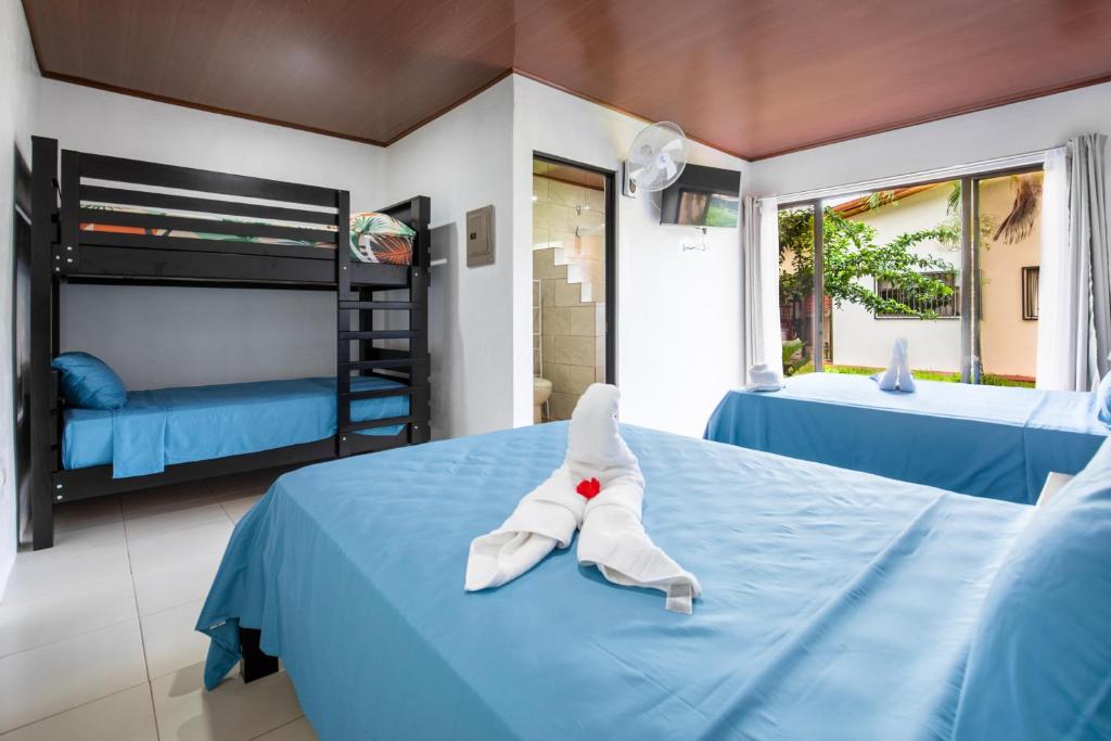 Rio Celeste, comodidad, Aire Acondicionado photo 3