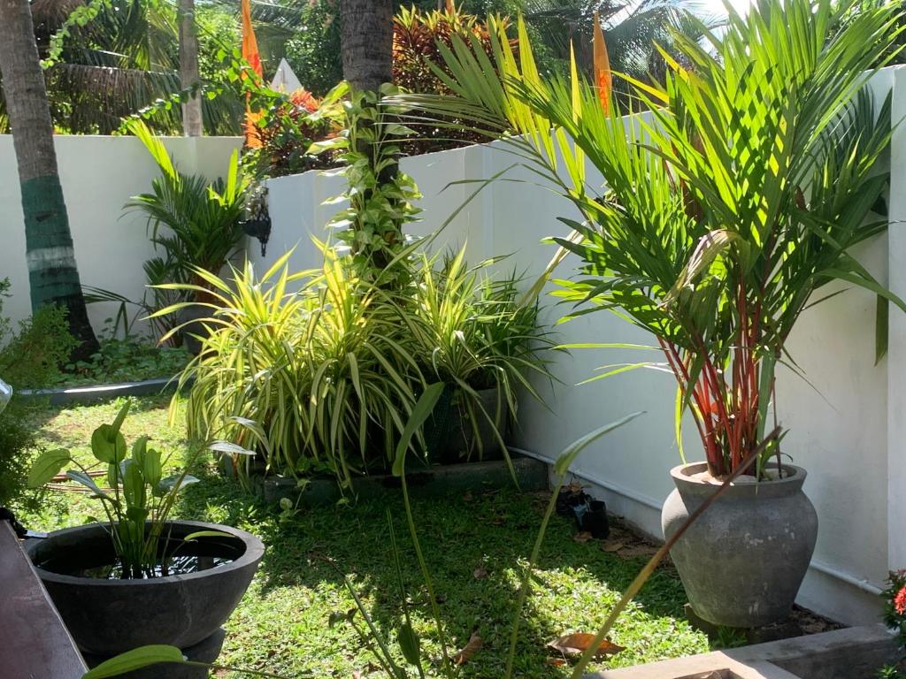 Leena Holiday Home photo 3
