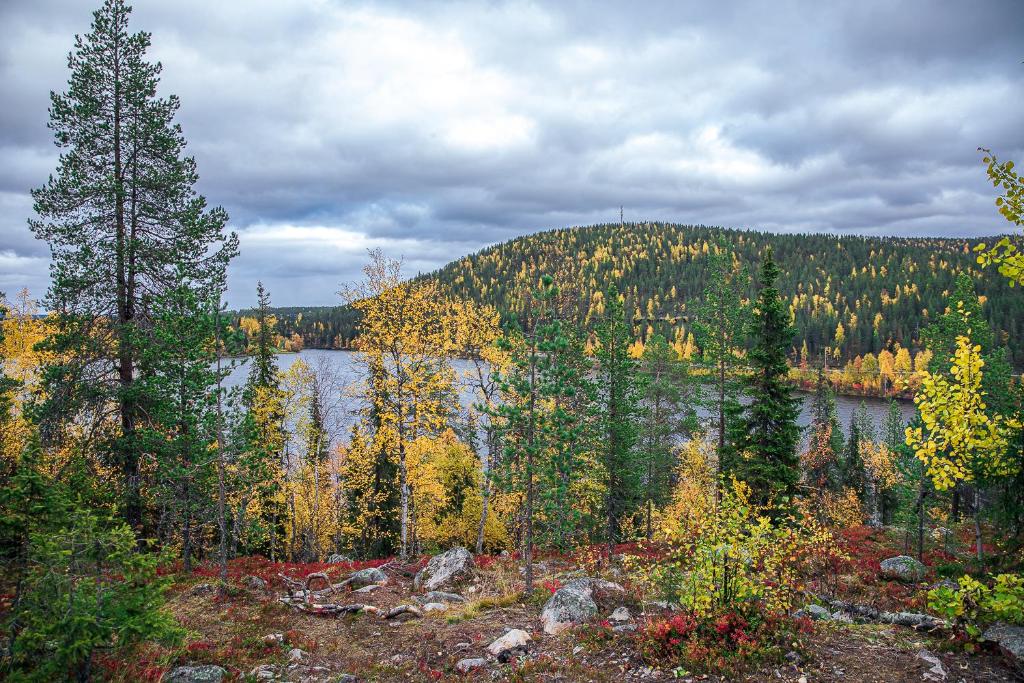 Alppilevi 1 B1 by Holiday in Lapland - Tap to explore photos