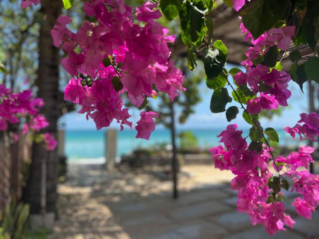 Da Dia Reef Homestay