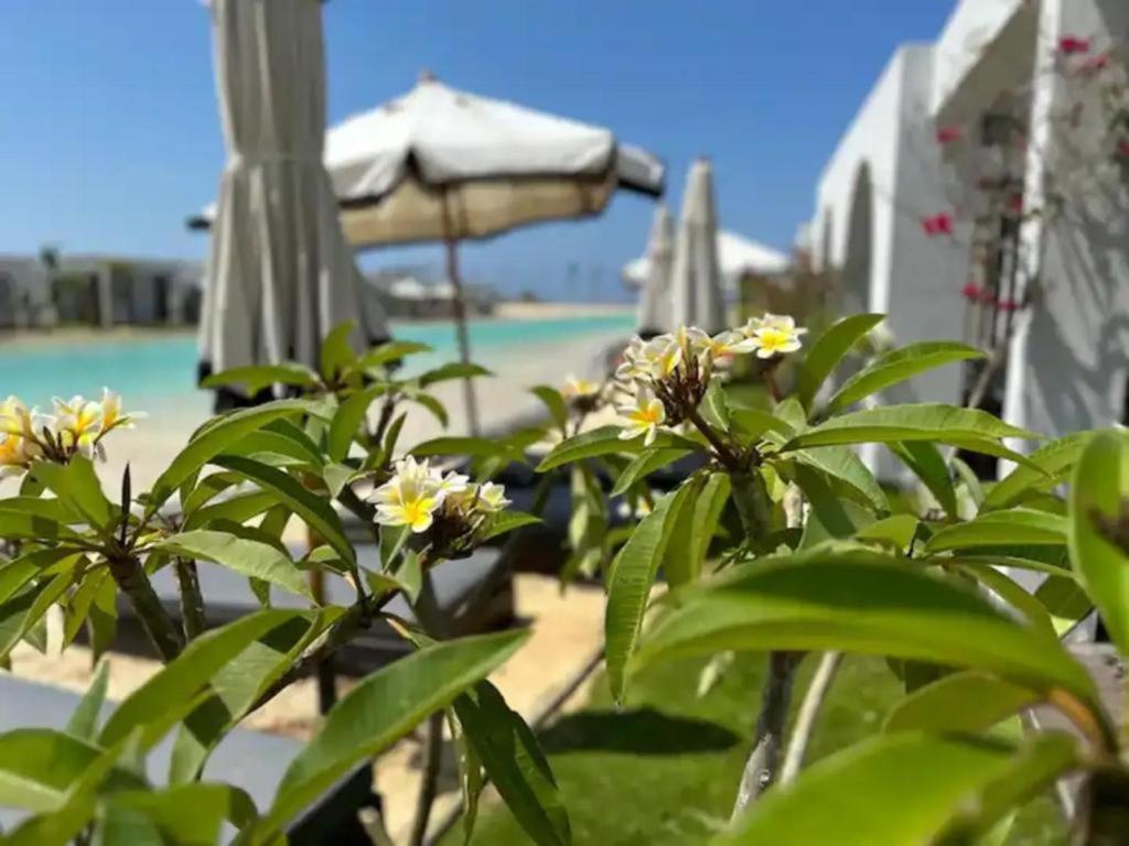 Le Sidi Cabanas Hacienda Bay photo 3