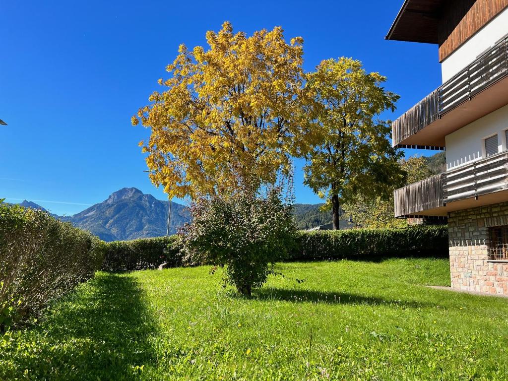 Ciasa Mia Nelle Dolomiti
