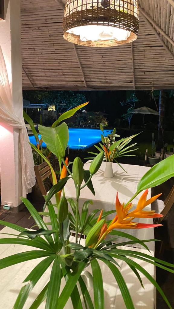 Maddekehaoo Eco Mansion photo 2