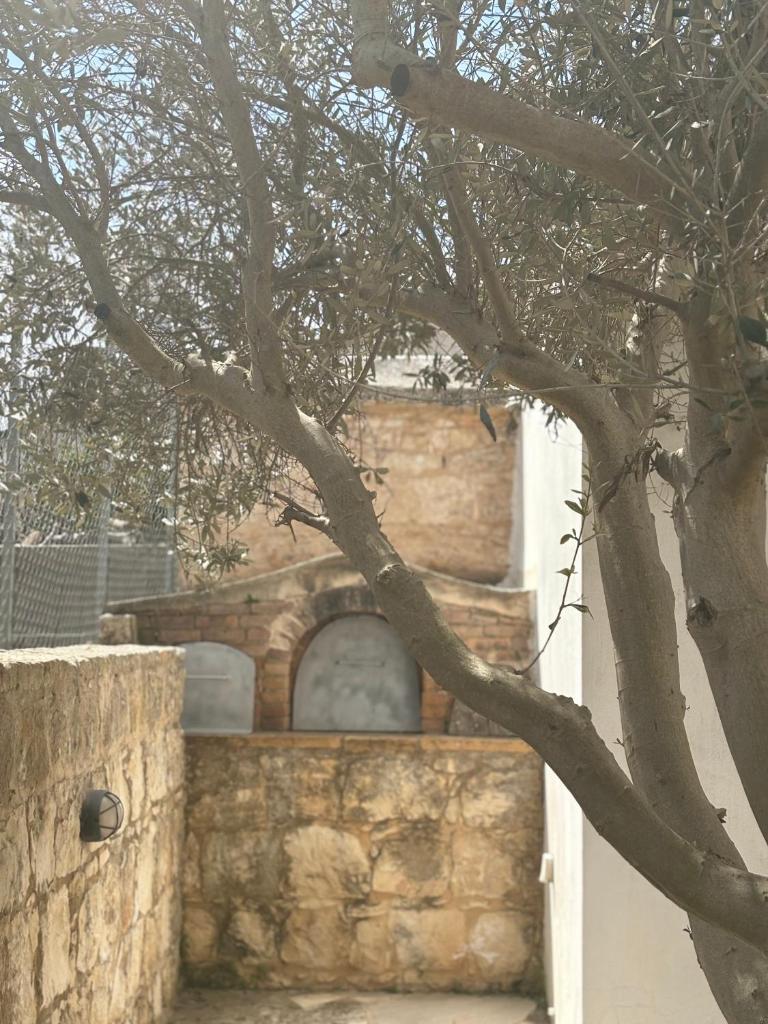 DROUSHIA CORNER HOUSE photo 1