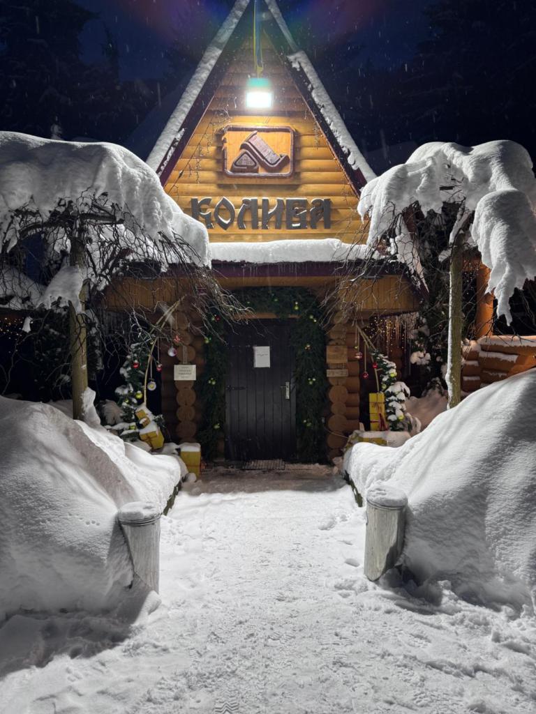 Арніка photo 2