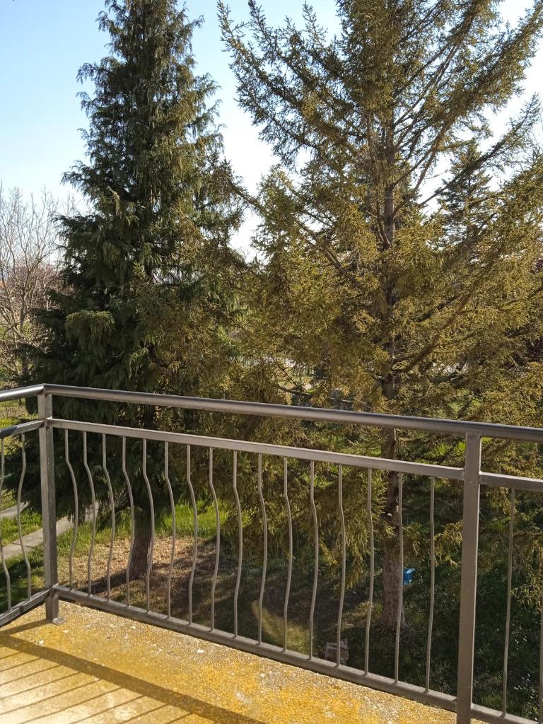 Kuća za odmor Matić photo 1