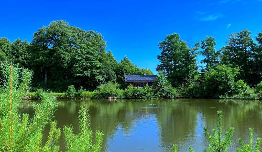 3pokoje - domek pod lasem na odludziu photo 3