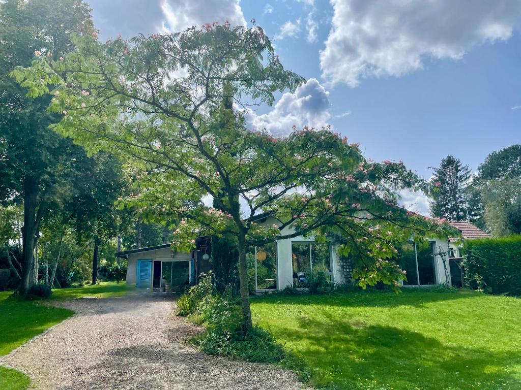 Villa sur les bords de la Seine à 1h de Paris