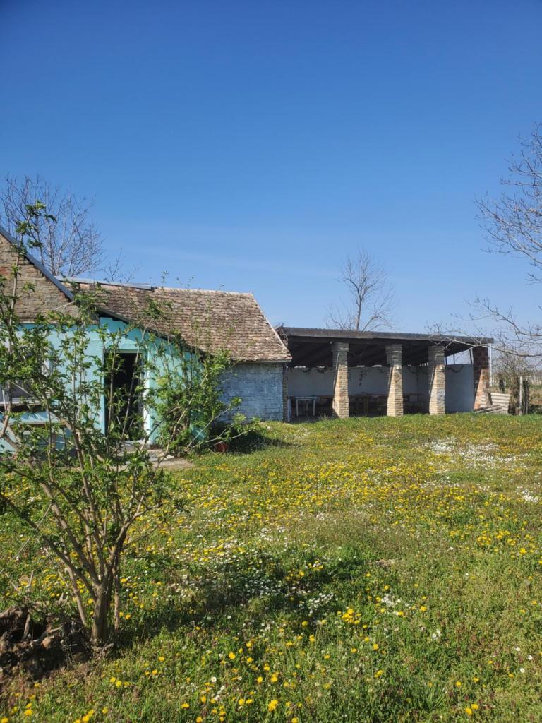 Vojkanov Salas Backa Palanka photo 3