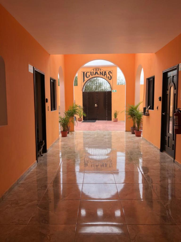 Tres Iguanas Apart Hotel - New, cozy & spacious flats, short walk to beach photo 2