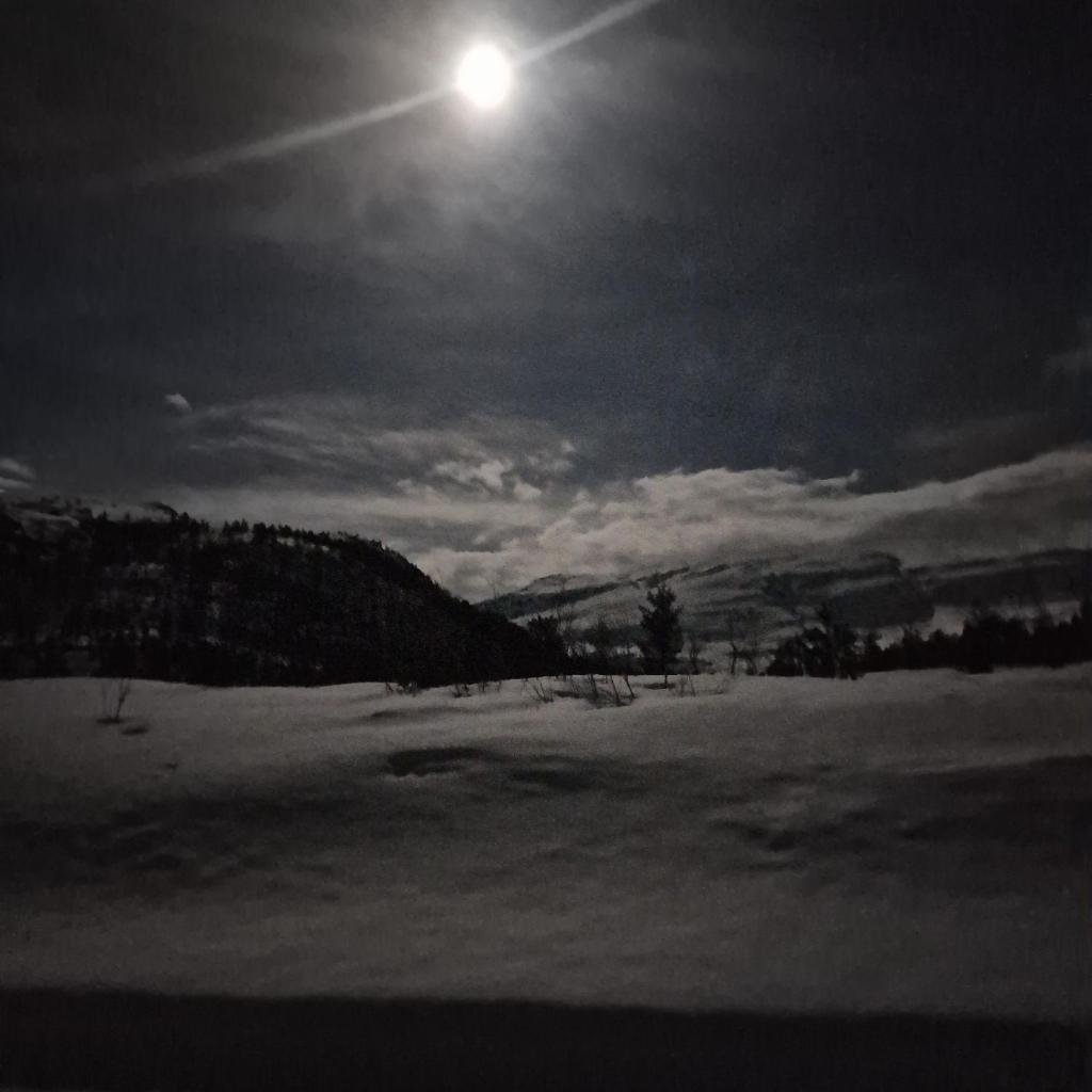 Kvamskogen & Hardanger Holliday homes photo 2