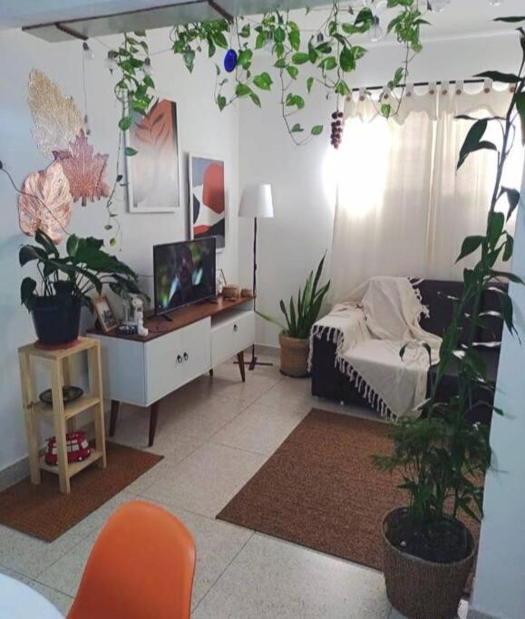 Casinha boa vibra