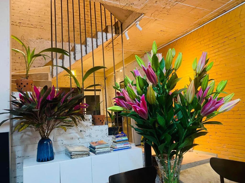 May’s house Nhà của Mây