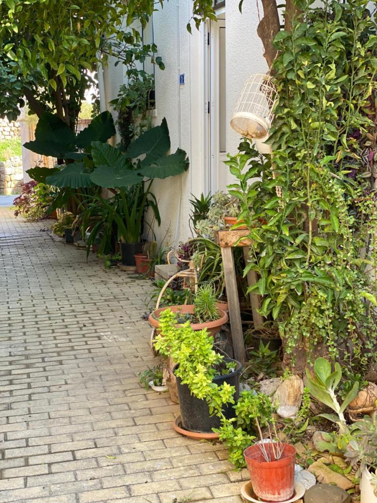 Grandmother's House photo 1