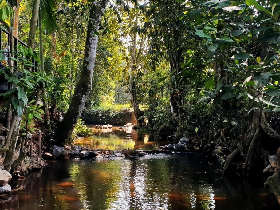 Water Pearl, Kosgama, Seetawaka photo 1