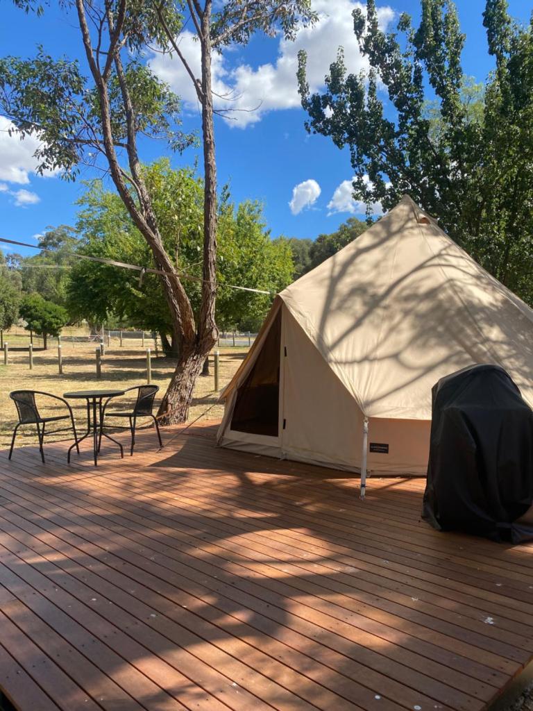 Eldorado Caravan Park Room Type - Glamping Tent