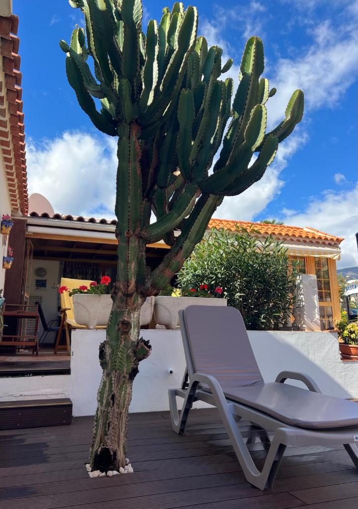 CACTUS's HOUSE, 150 m beach, 1 bdr, 4 guests, wifi, Netflix, photo 1