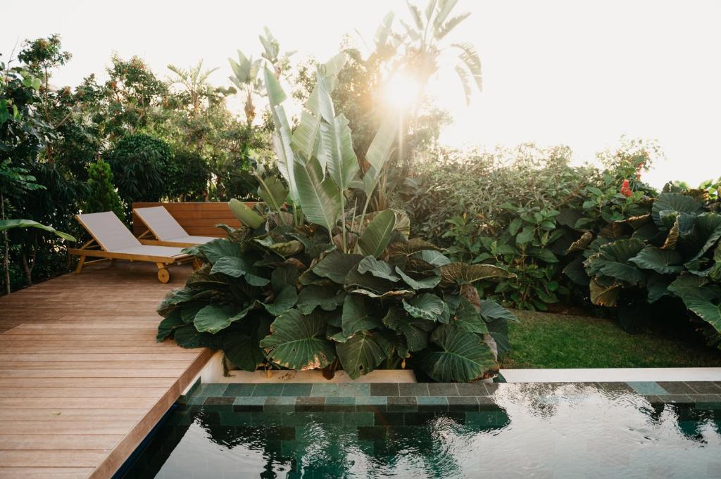 Serenity Villa on the Cliff with climatized pool photo 1