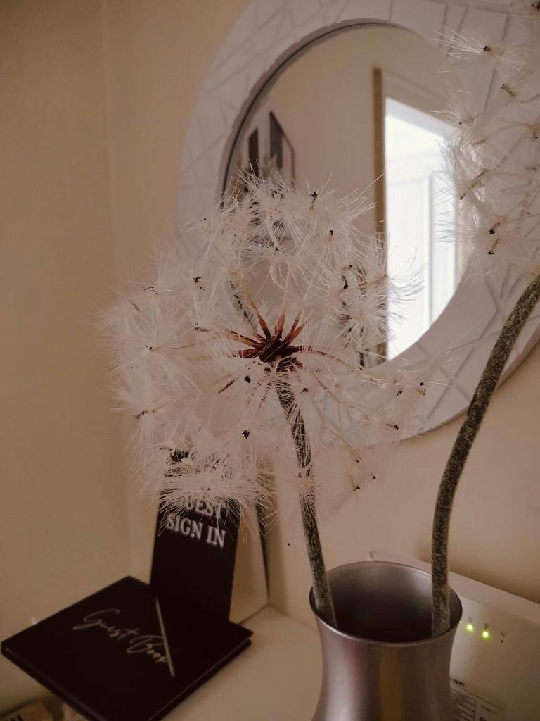 Dandelion home Viareggio centro photo 3