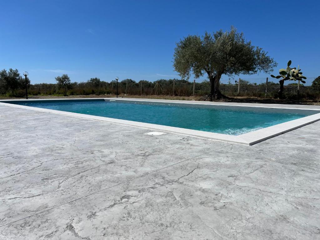 Casarossa