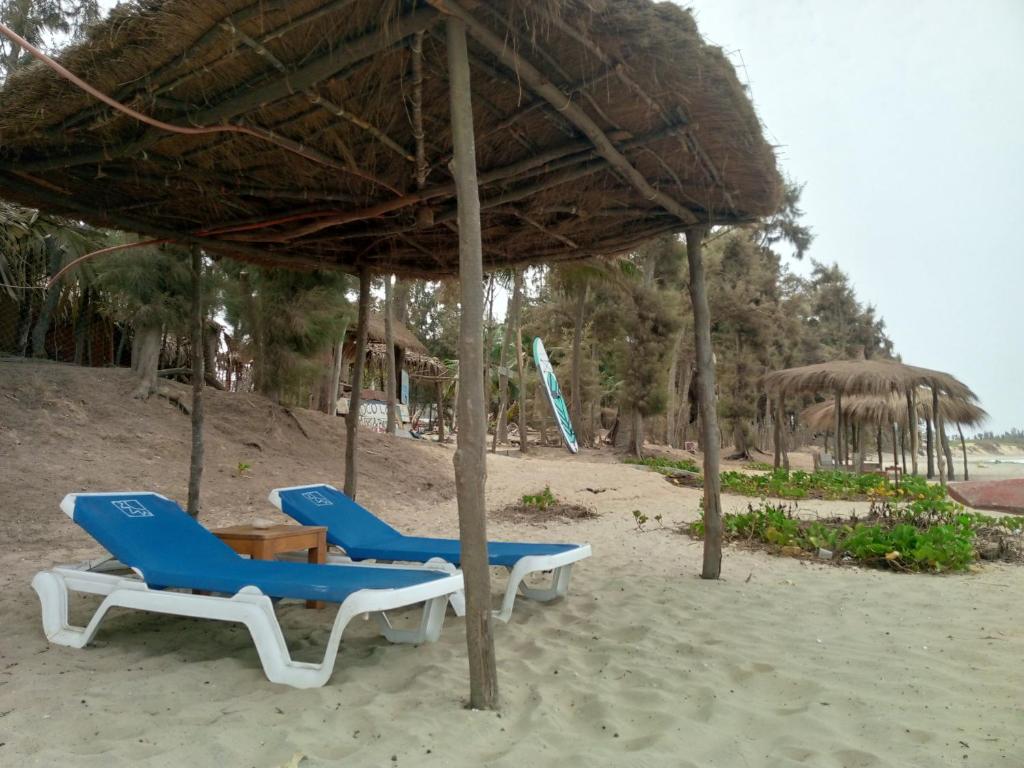 Poco Loco B&B photo 4