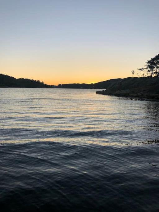 Unik hytte med fjordutsikt photo 2