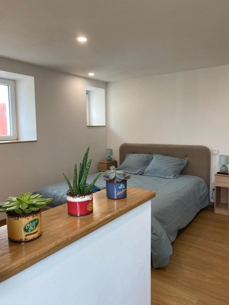 Chambre Mendi pausa
