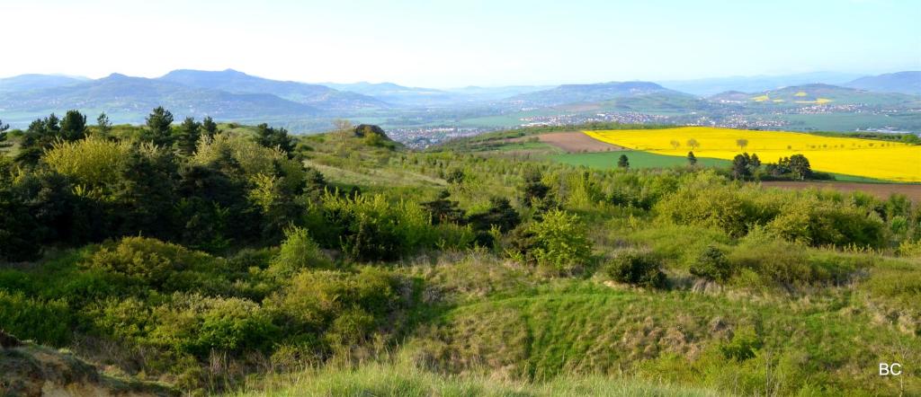 Maison du vigneron Saint-Martin photo 4