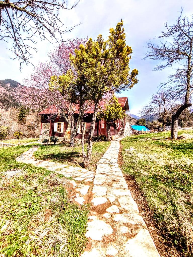 Yeşil Vadi Çiftliği photo 4
