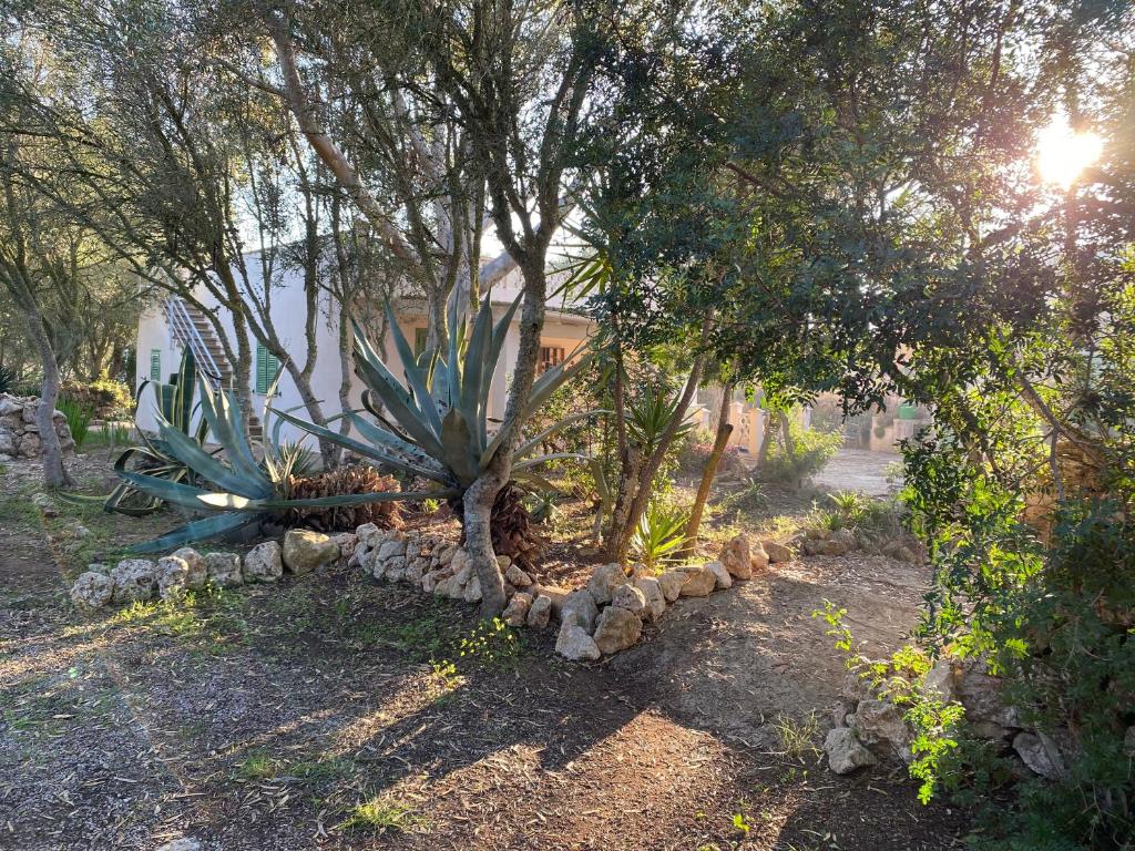 Finca Casa Farah photo 3