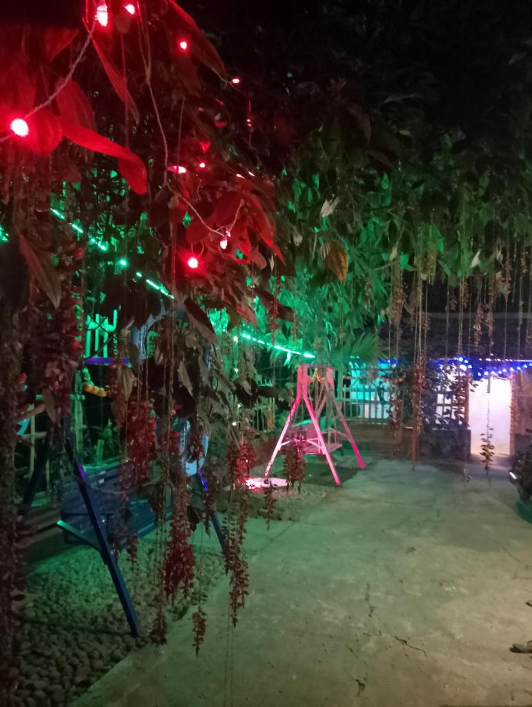 Greennest photo 2