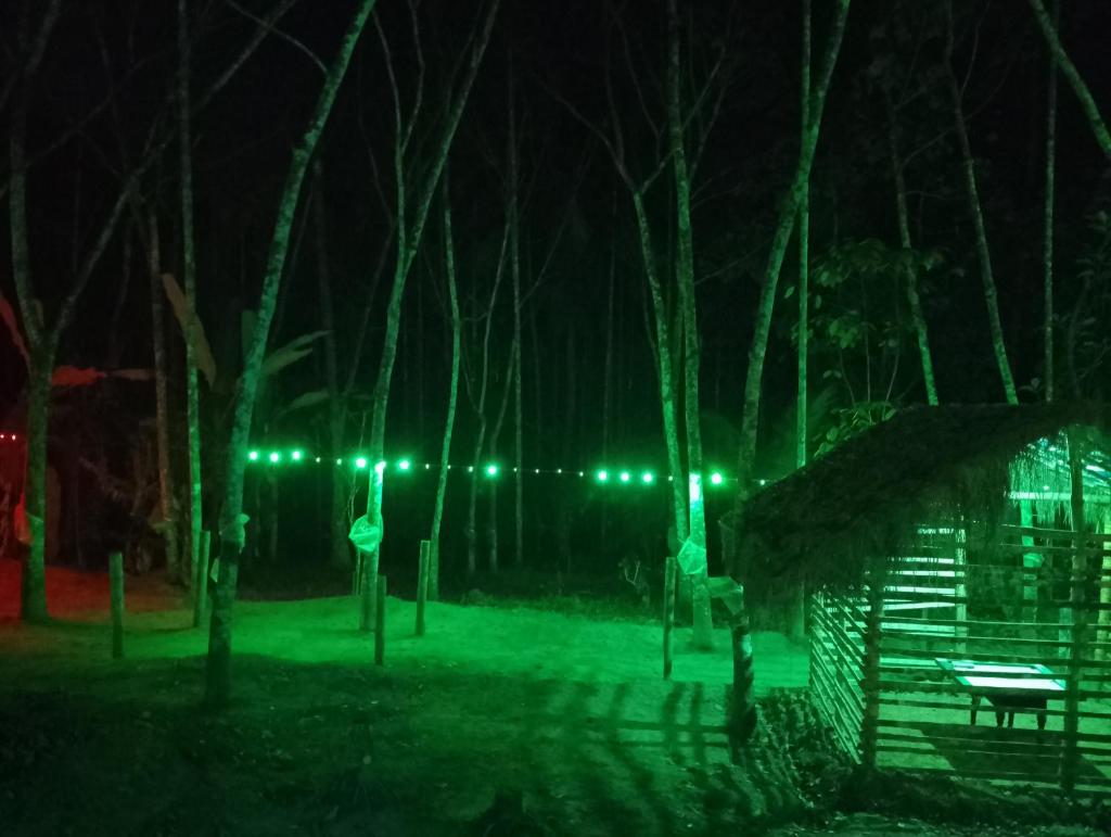 Greennest photo 4