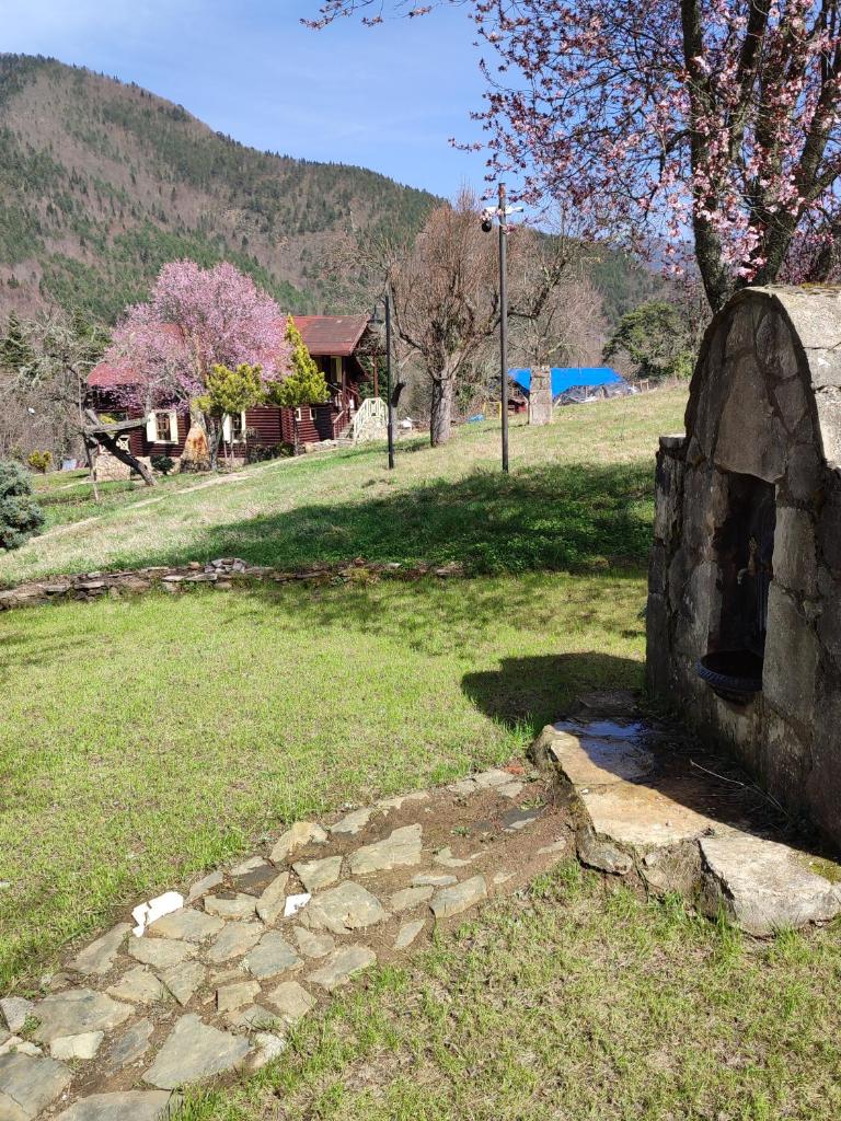 Yeşil Vadi Çiftliği photo 1