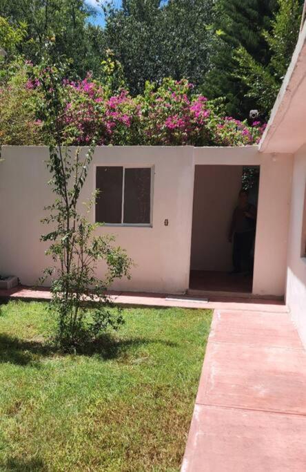 Casa el Nogalito photo 3