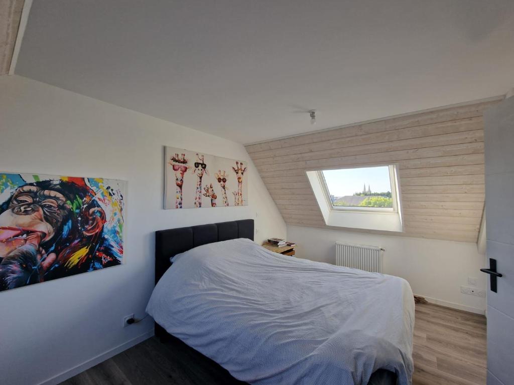 Chambre en centre ville proche mer photo 1