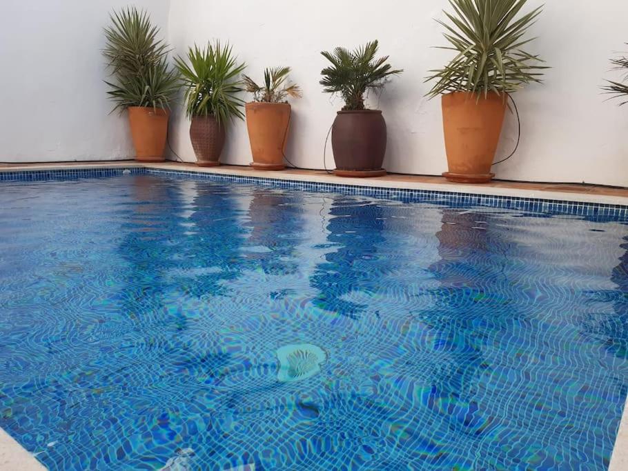 Private pool in Lecrin 30 min Granada/beach photo 2