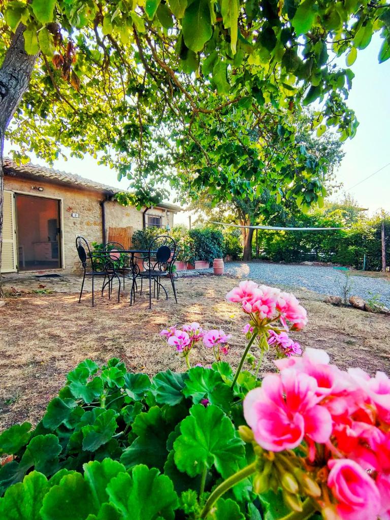 La casina photo 3